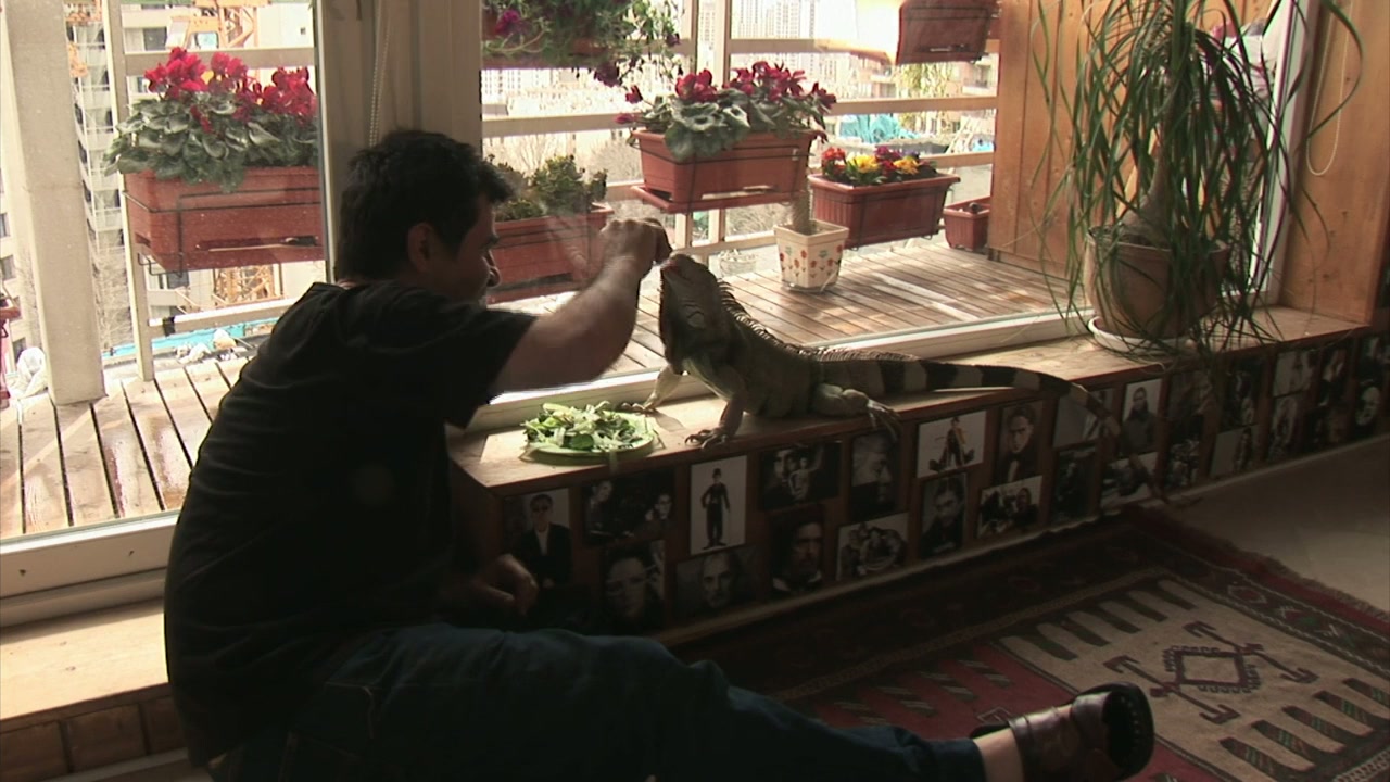 In film nist screenshot 1