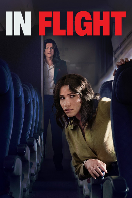 In Flight (2024) poster