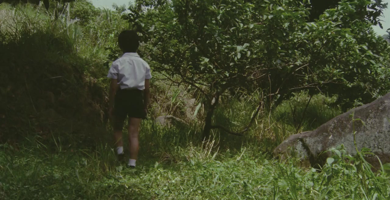 Guang yin de gu shi screenshot 1