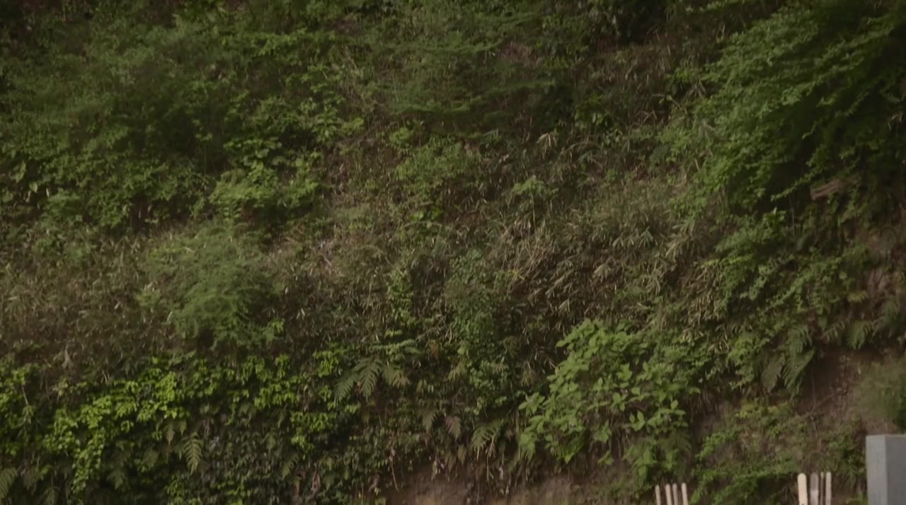 In Search of Ozu screenshot 1
