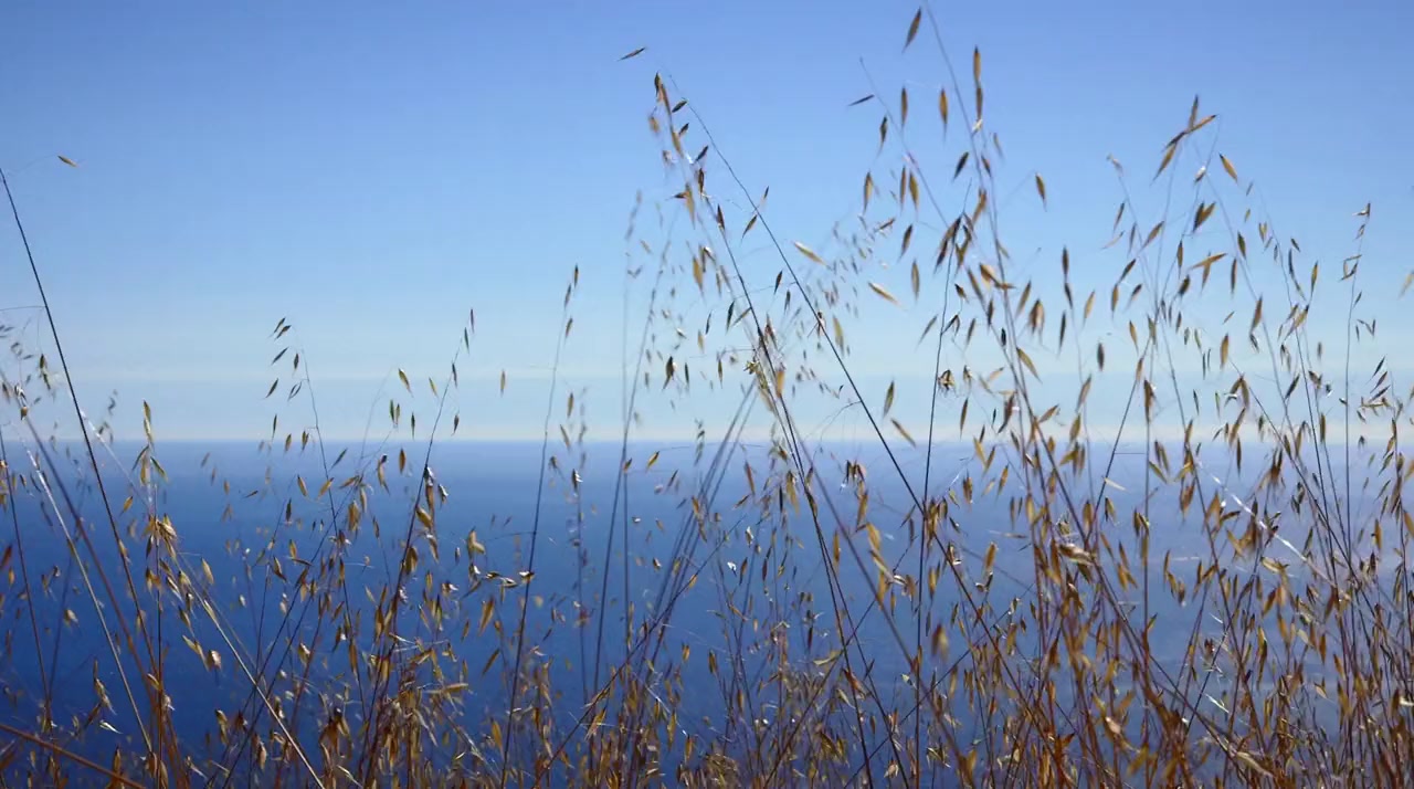 In Pursuit of Silence screenshot 3