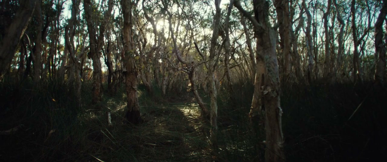 In the Circle of Life screenshot 1
