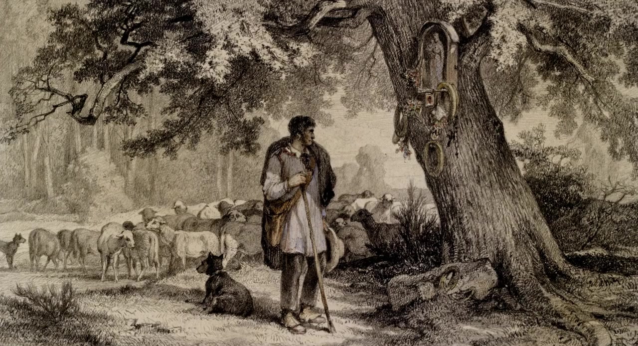 In the Company of Wolves: An American Journey screenshot 1