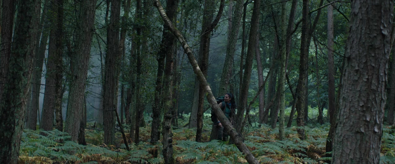 In the Earth screenshot 2
