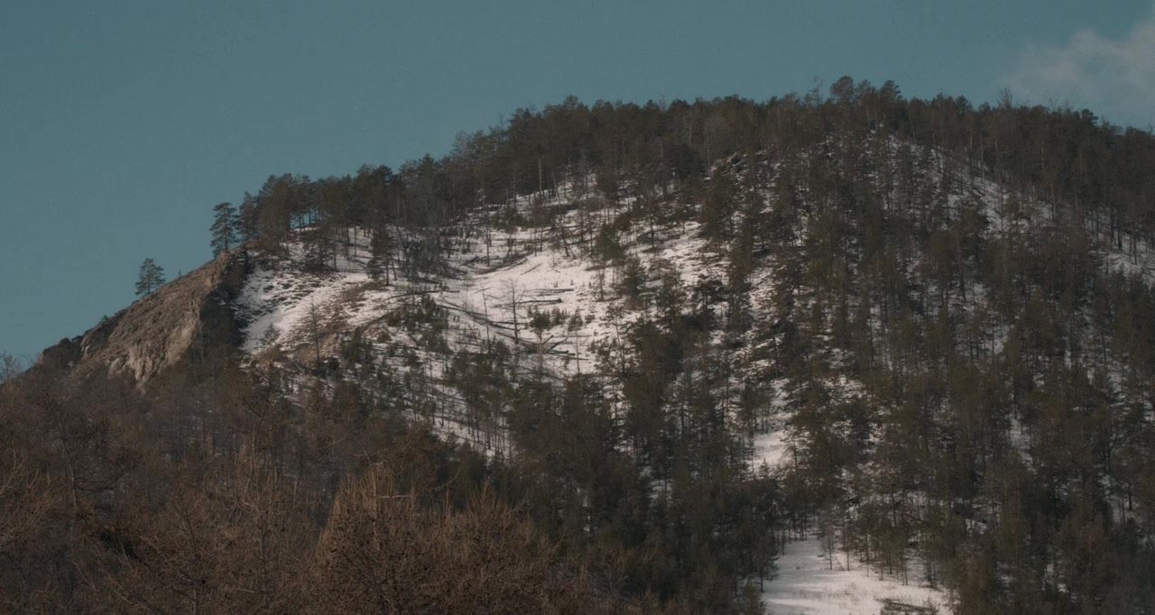 Dans les forêts de Sibérie screenshot 2