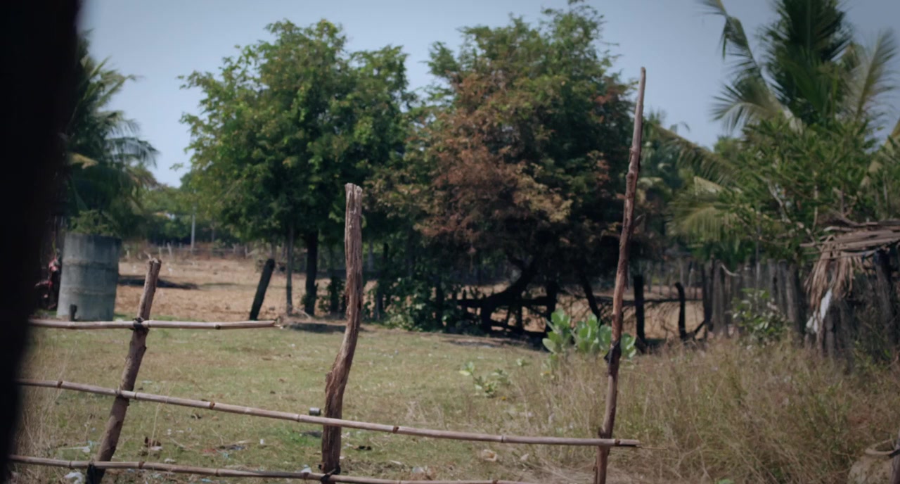 In the Life of Music screenshot 3