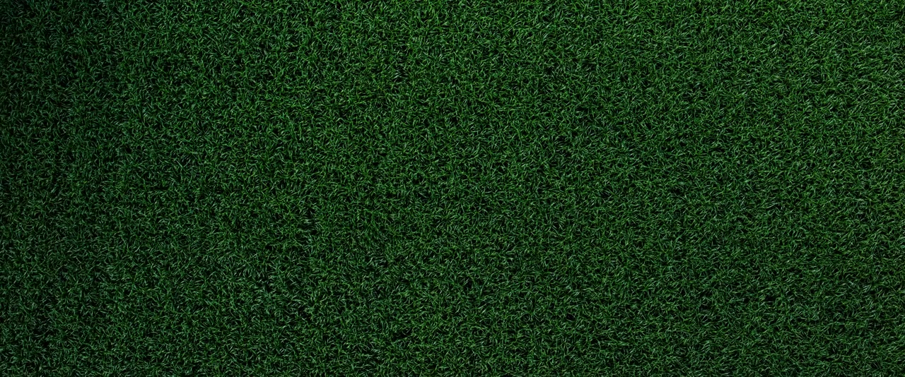 In the Tall Grass screenshot 1