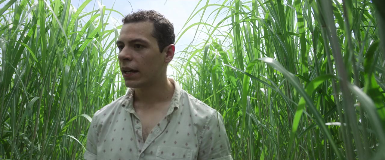 In the Tall Grass screenshot 3