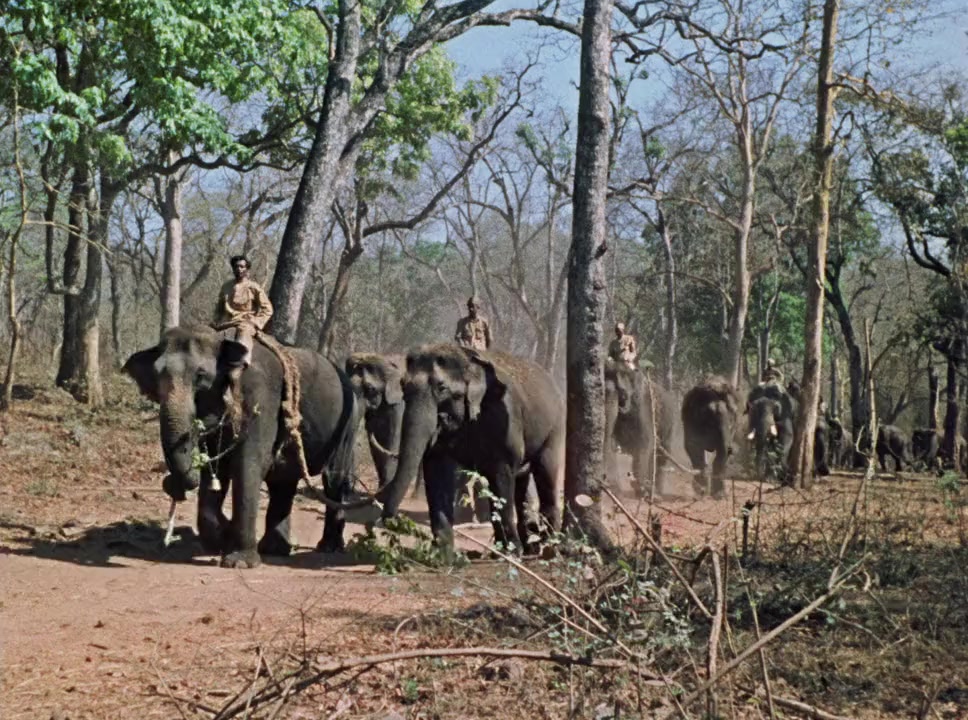 India favolosa screenshot 2