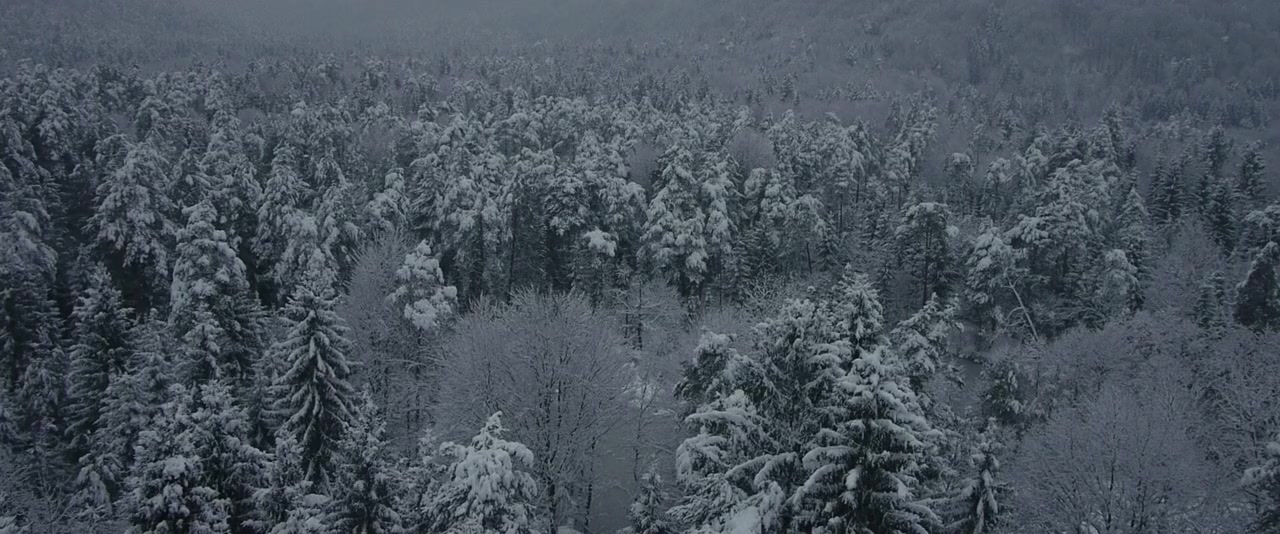 Indian Horse screenshot 1