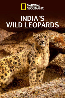India's Wild Leopards (2020) poster