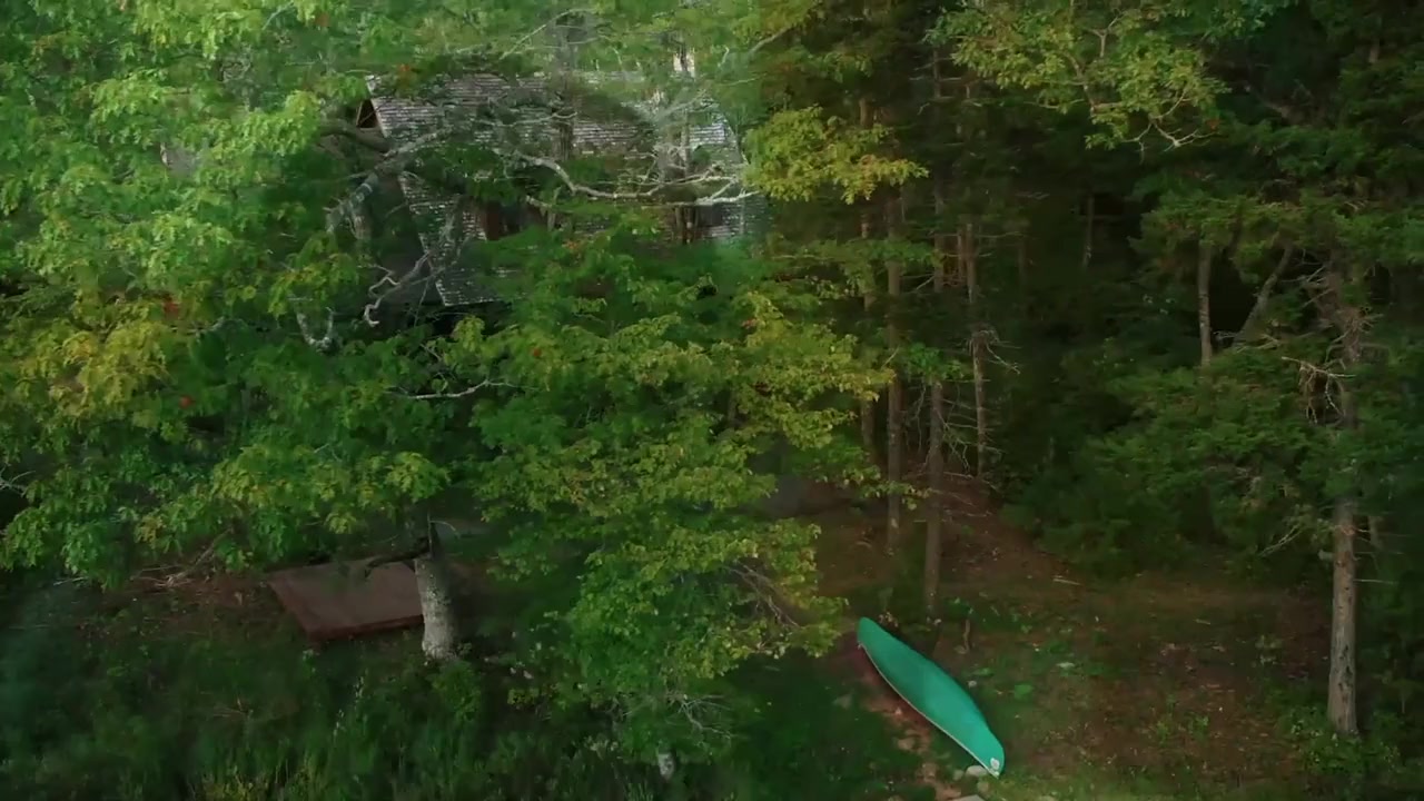Induced screenshot 3
