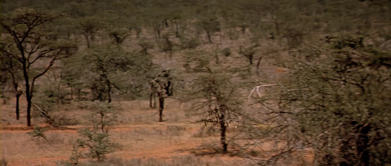 Nirgendwo in Afrika screenshot 2