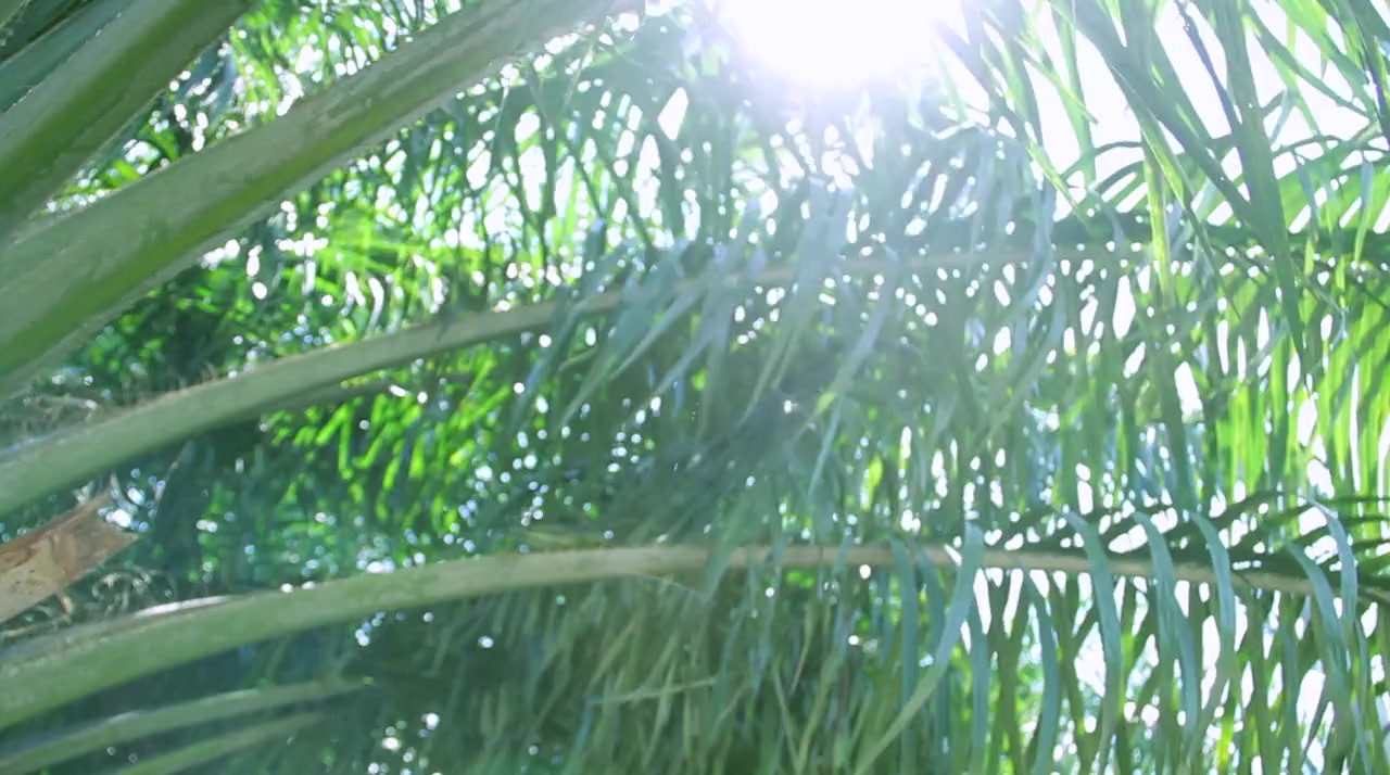 Inhalation screenshot 2