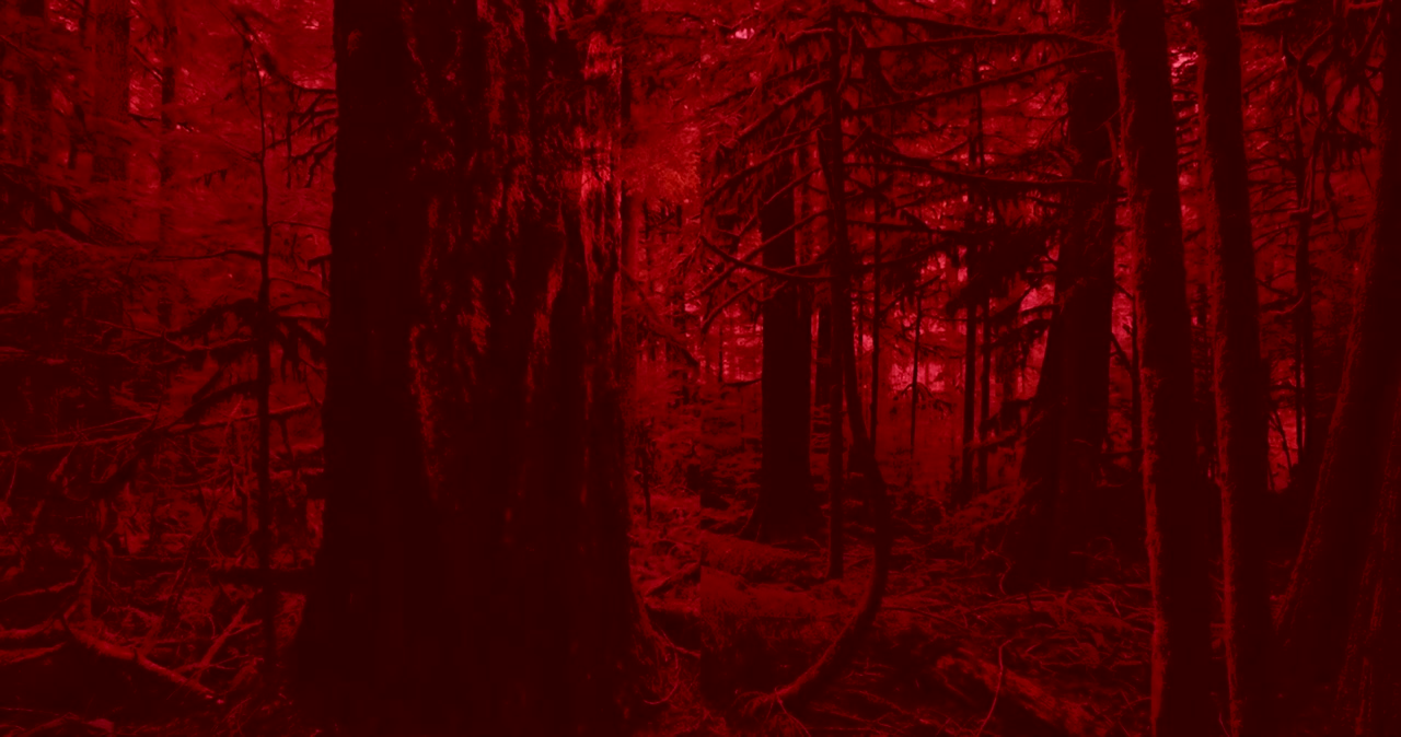 Inherit the Witch screenshot 2
