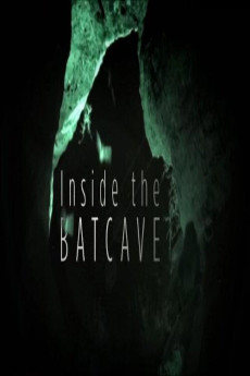 Inside the Bat Cave (2020) poster