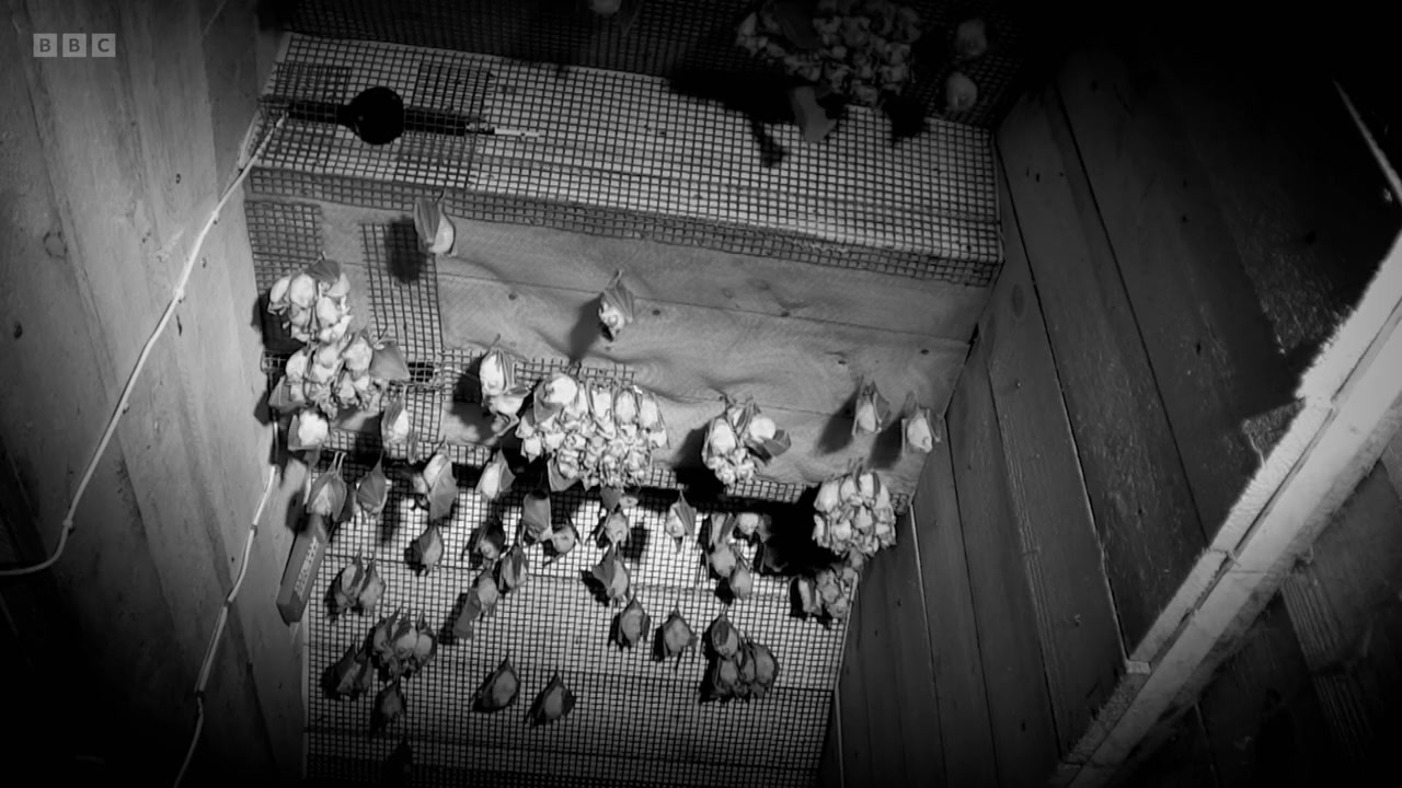 Inside the Bat Cave screenshot 3