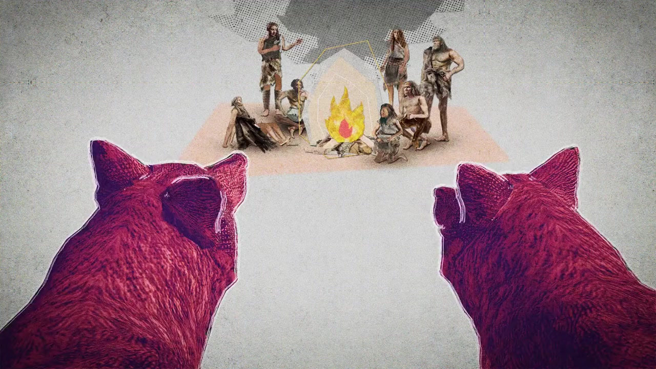 Inside the Mind of a Dog screenshot 2