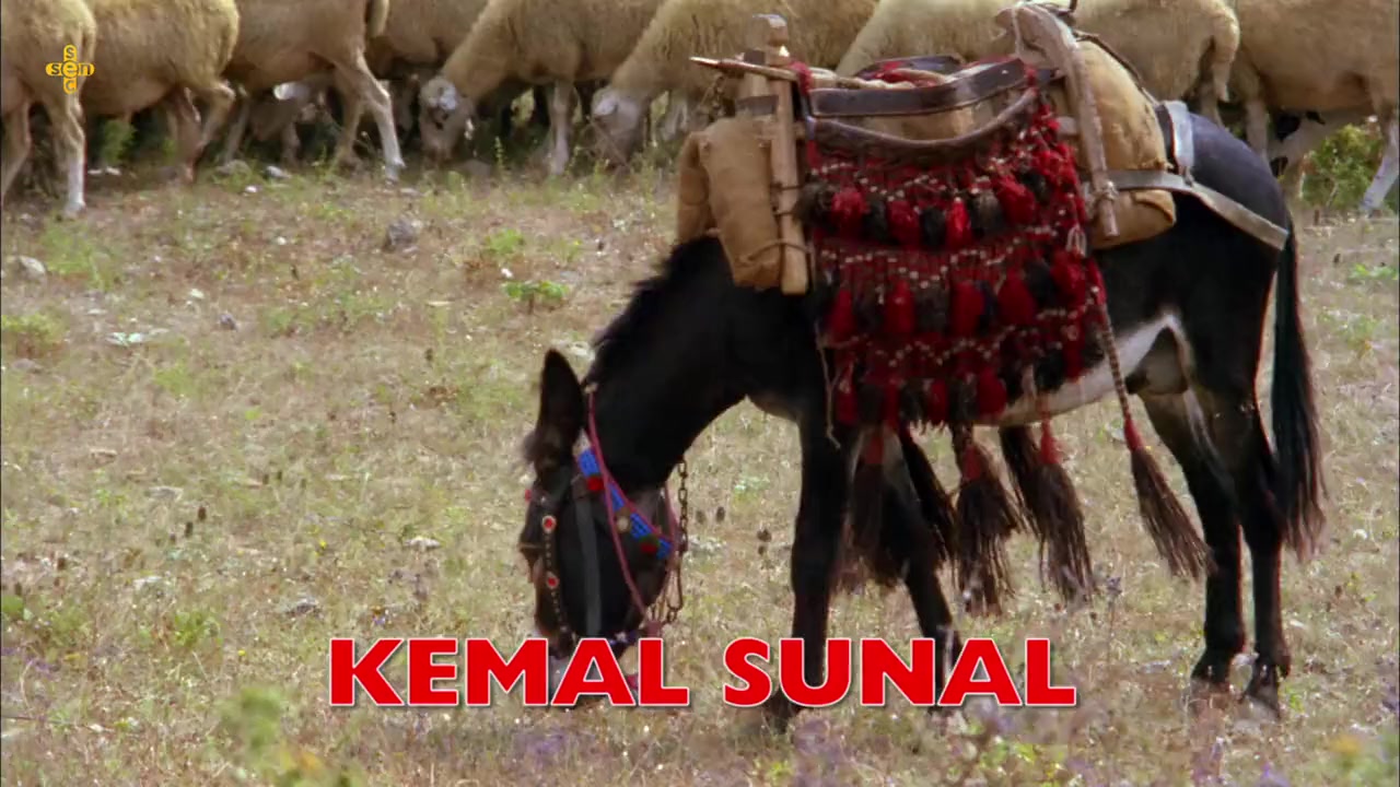 Ibo ile Güllüsah screenshot 3