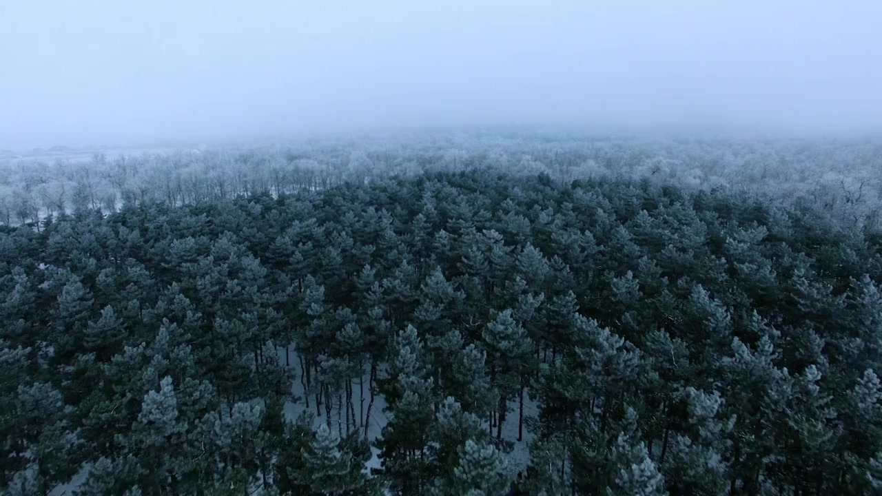 Ice Bridge: The Impossible Journey screenshot 3