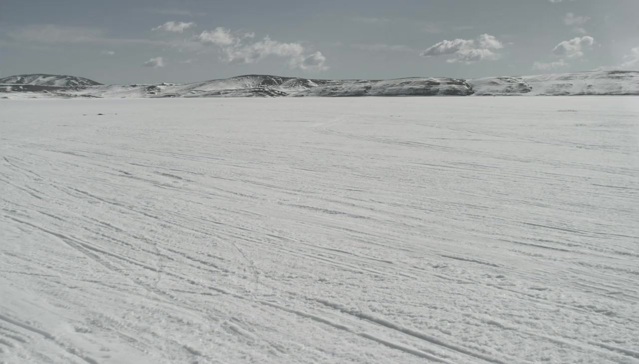 Ice Sharks screenshot 1