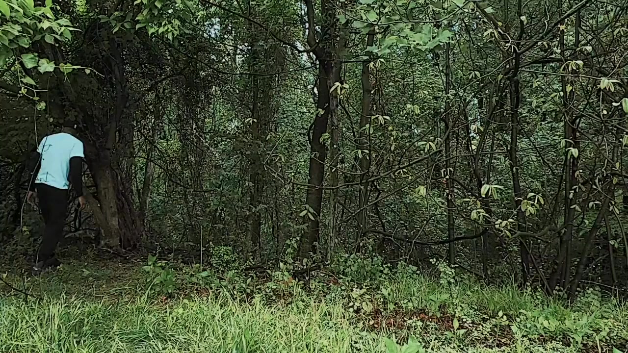 Ice screenshot 1