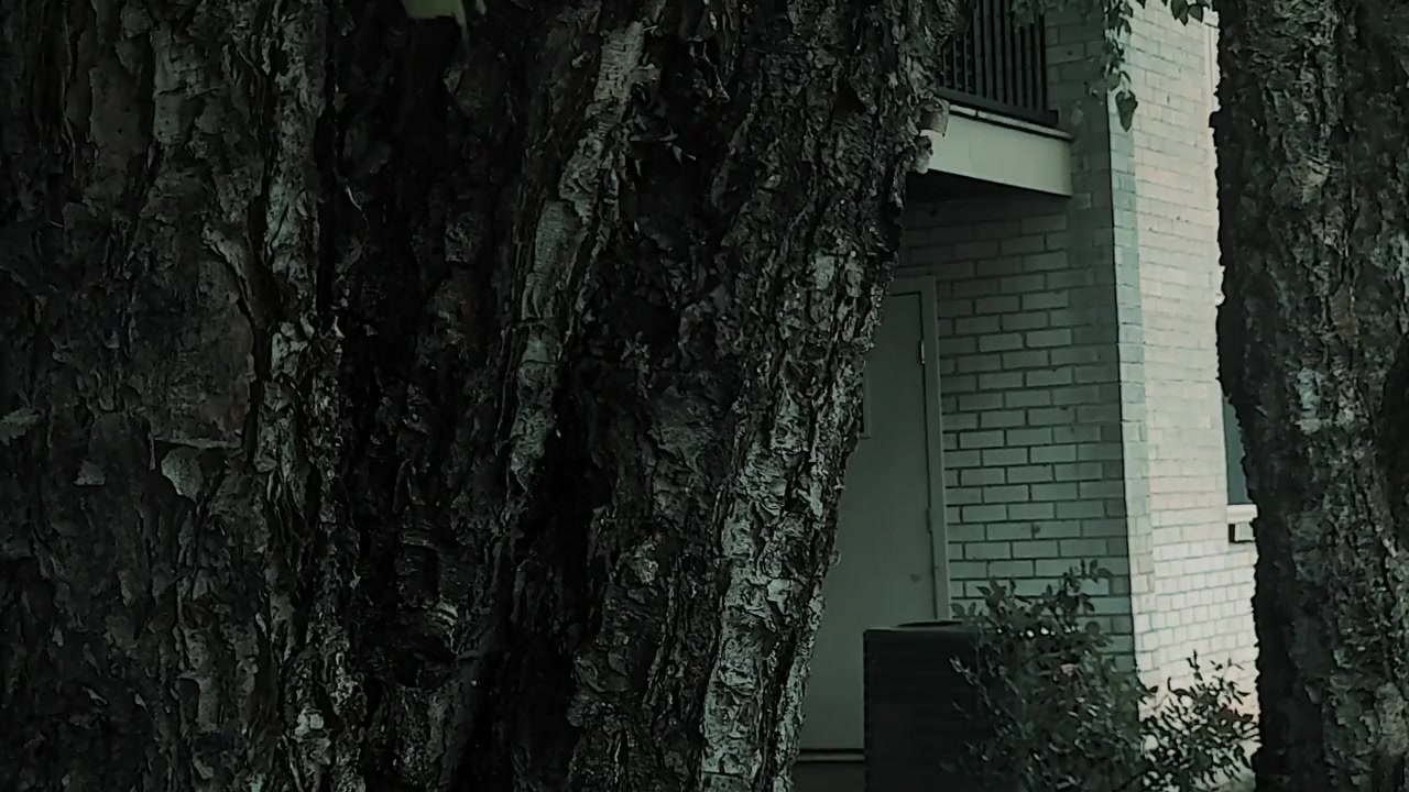 Ice screenshot 3