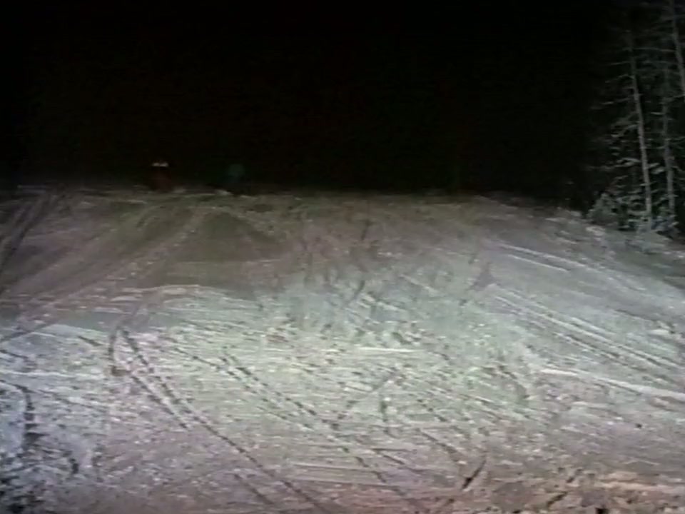 Iced screenshot 2
