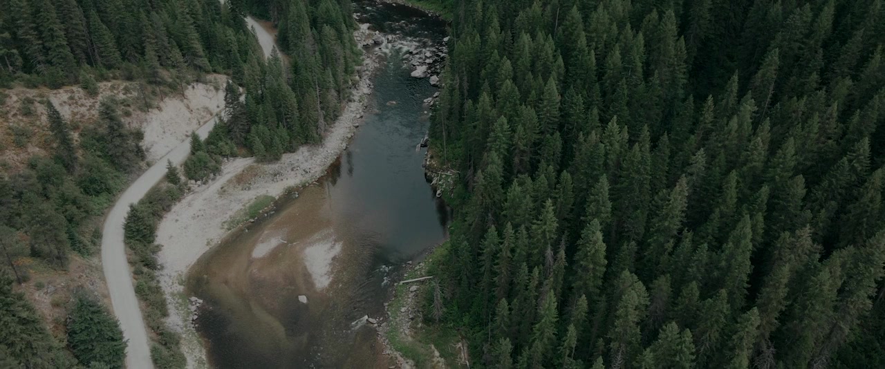 Idaho Fallen screenshot 1