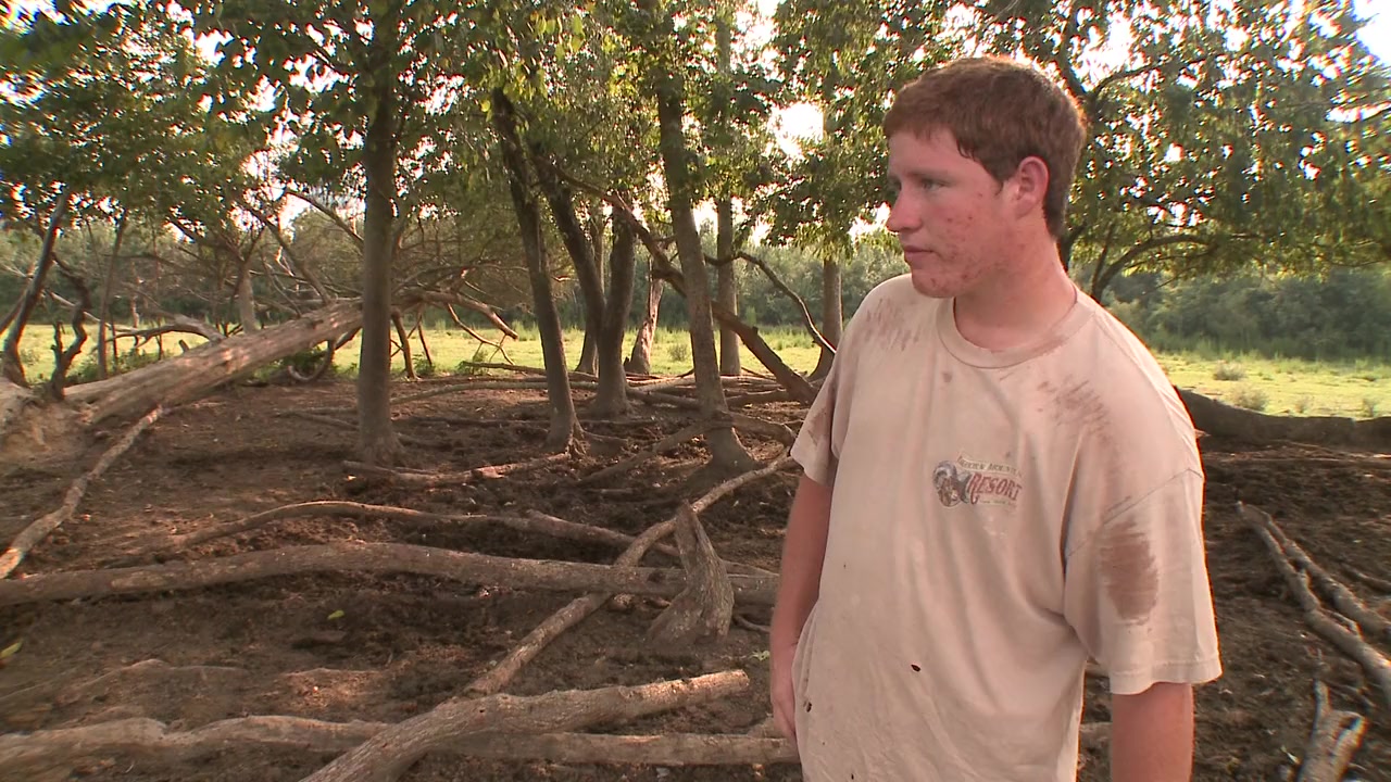 If You Build It screenshot 1