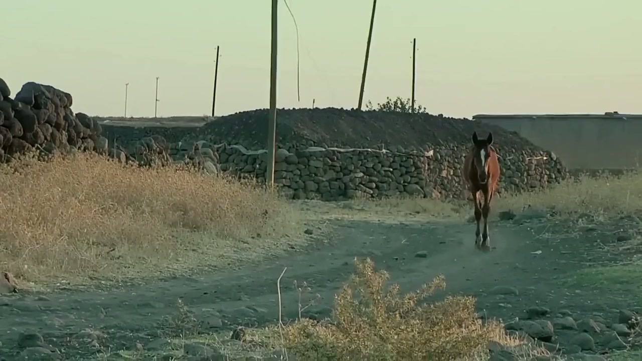 Iki Dil Bir Bavul screenshot 3