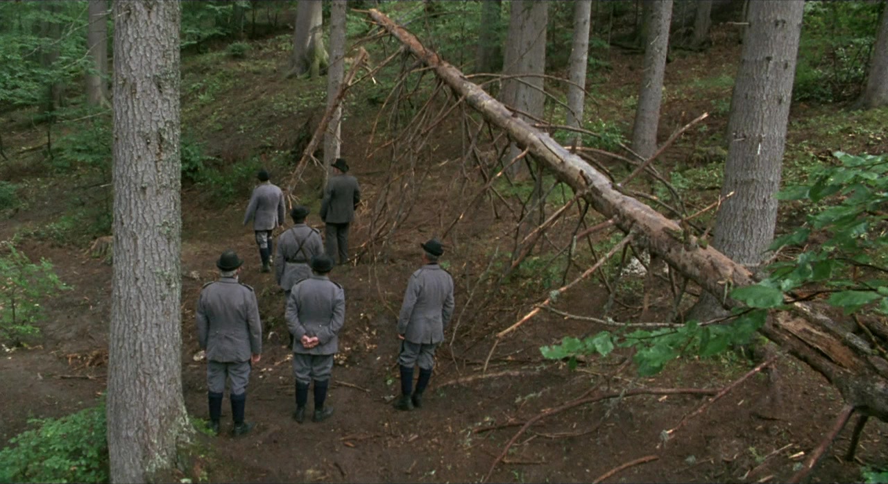 Il segreto del bosco vecchio screenshot 1