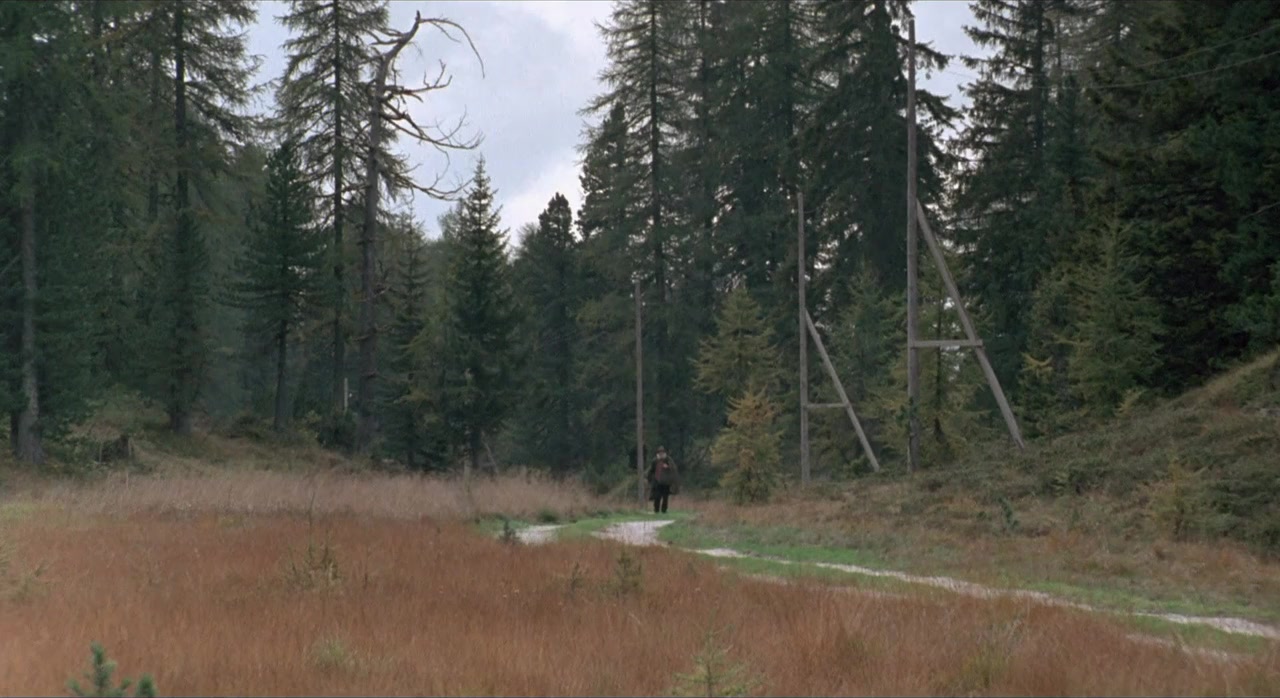 Il segreto del bosco vecchio screenshot 2