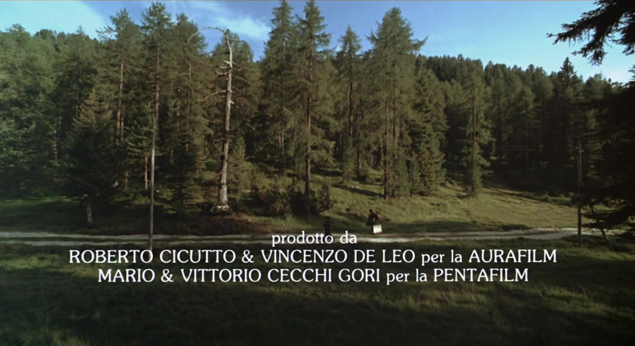 Il segreto del bosco vecchio screenshot 3