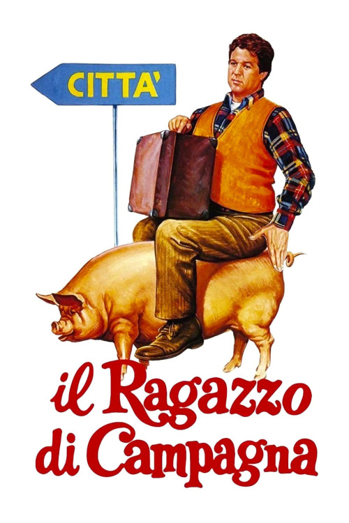 Il ragazzo di campagna (1984) poster