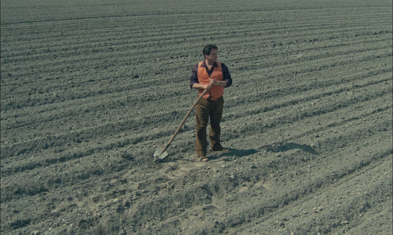 Il ragazzo di campagna screenshot 1