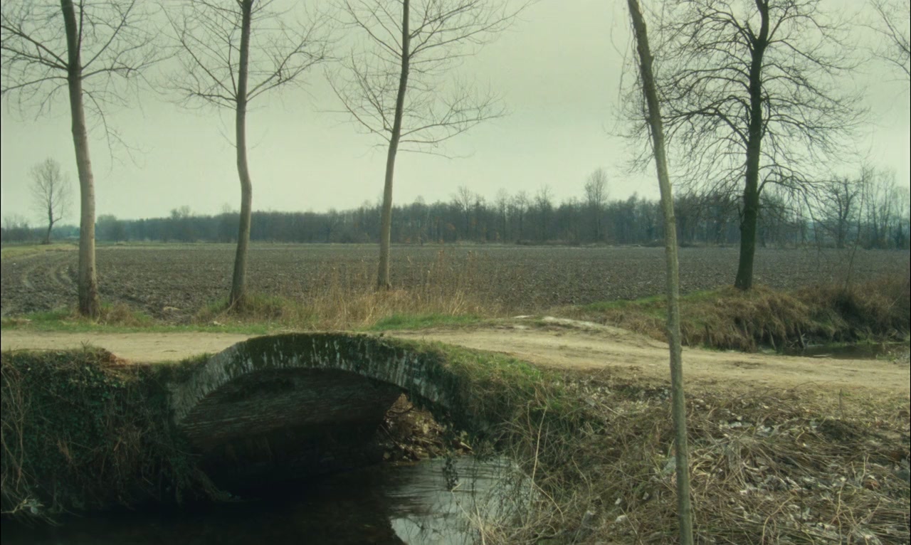 Il ragazzo di campagna screenshot 2
