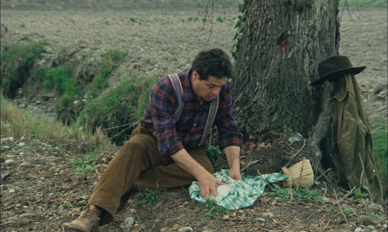 Il ragazzo di campagna screenshot 3