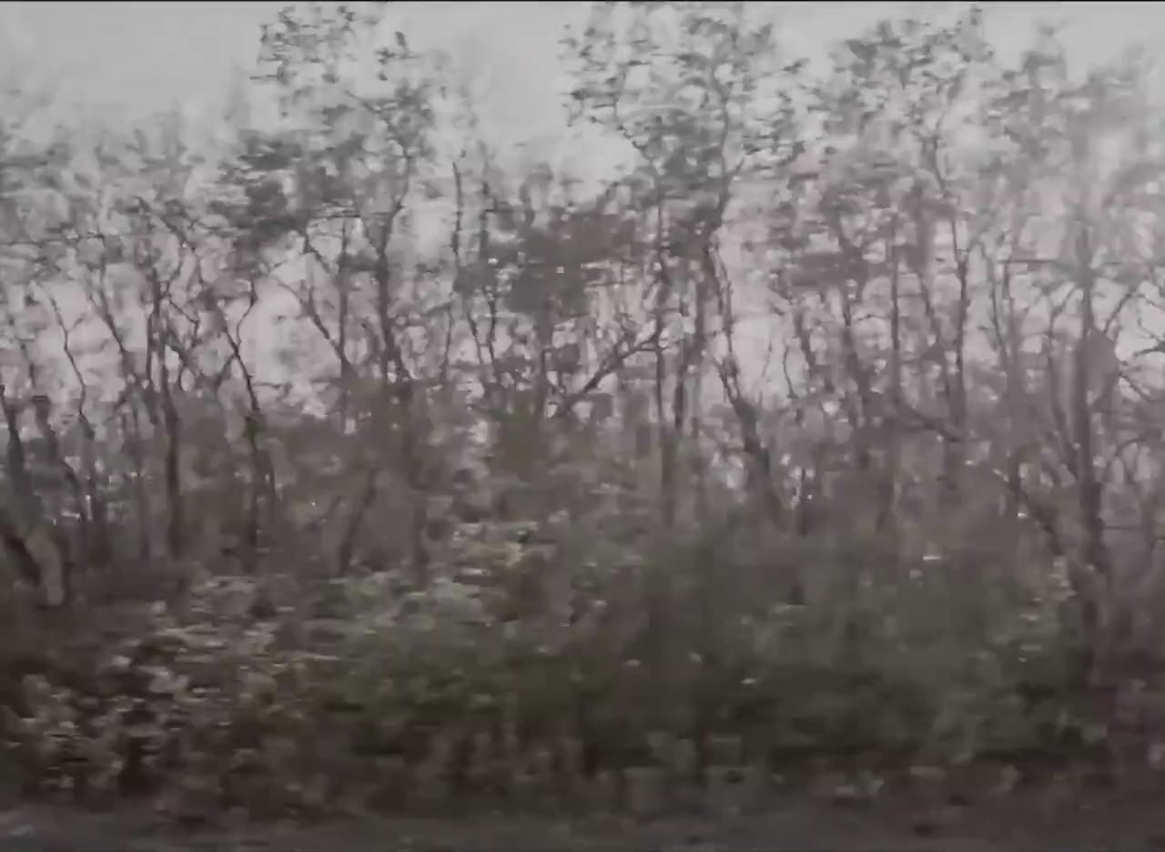 Il varco screenshot 1
