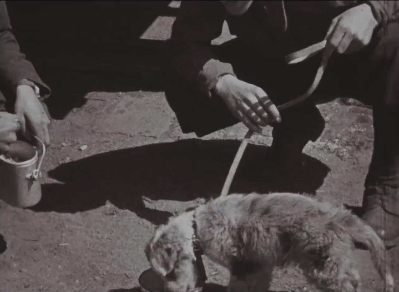Il varco screenshot 3