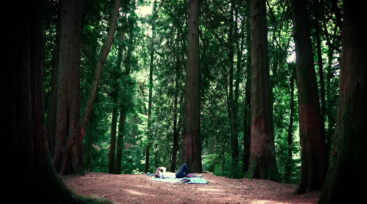 Illuminate screenshot 3