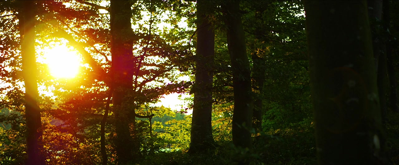 Illuminated screenshot 1