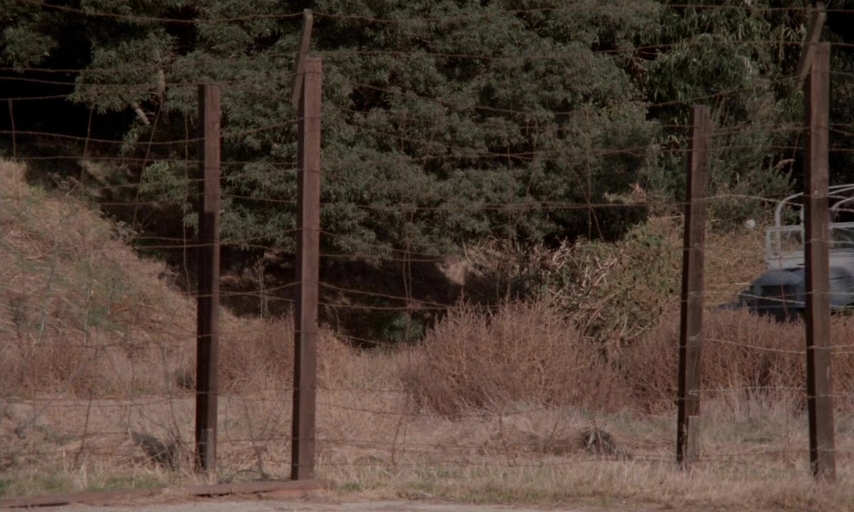Ilsa: She Wolf of the SS screenshot 1