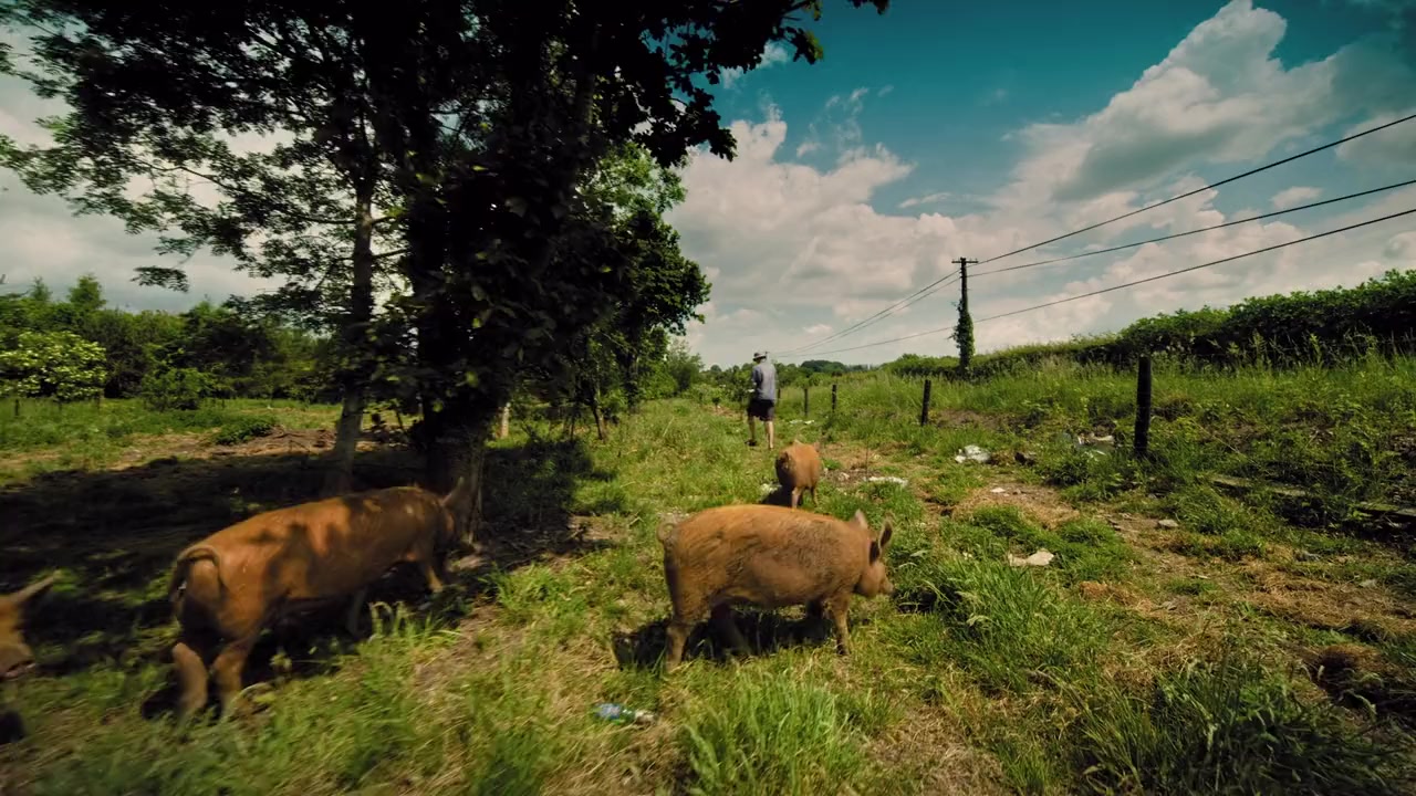 Ireland screenshot 3