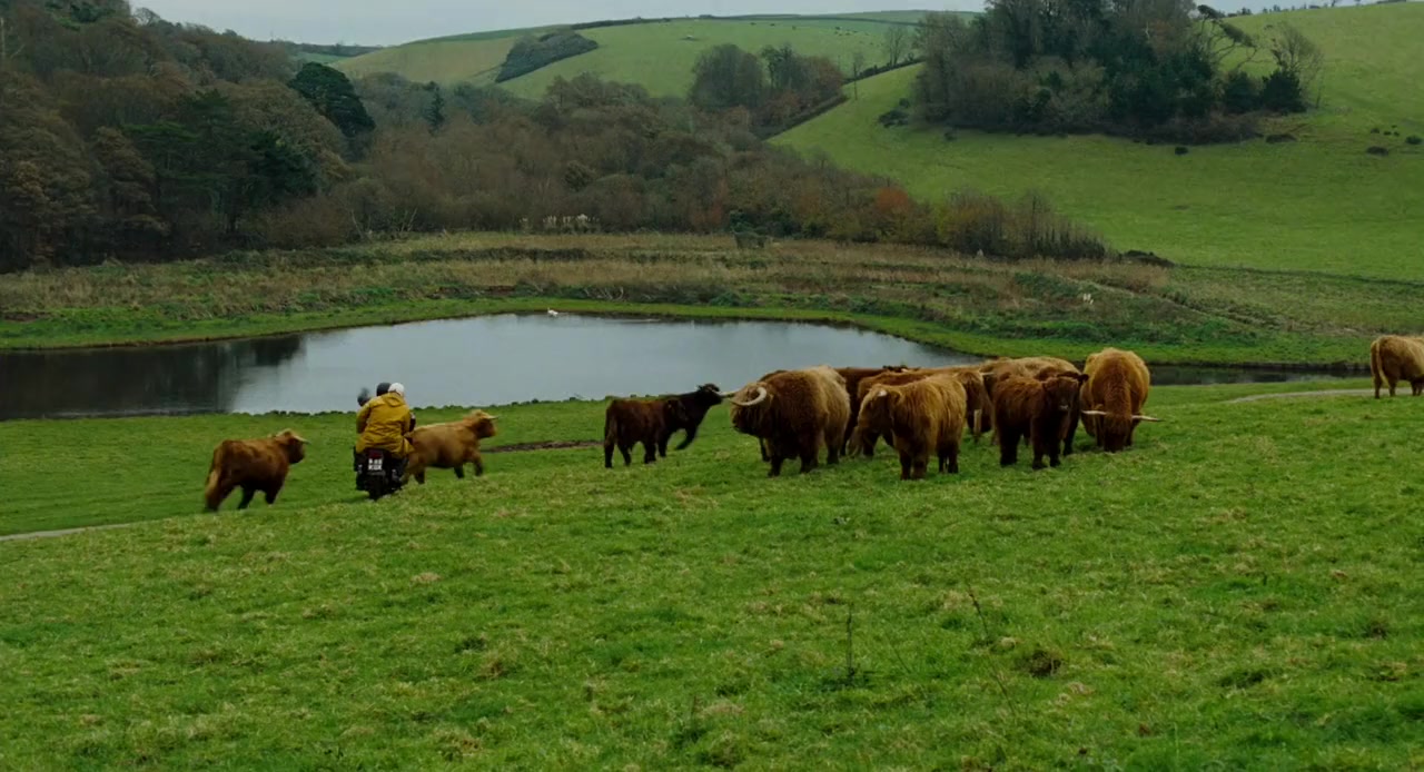 Irish Jam screenshot 1