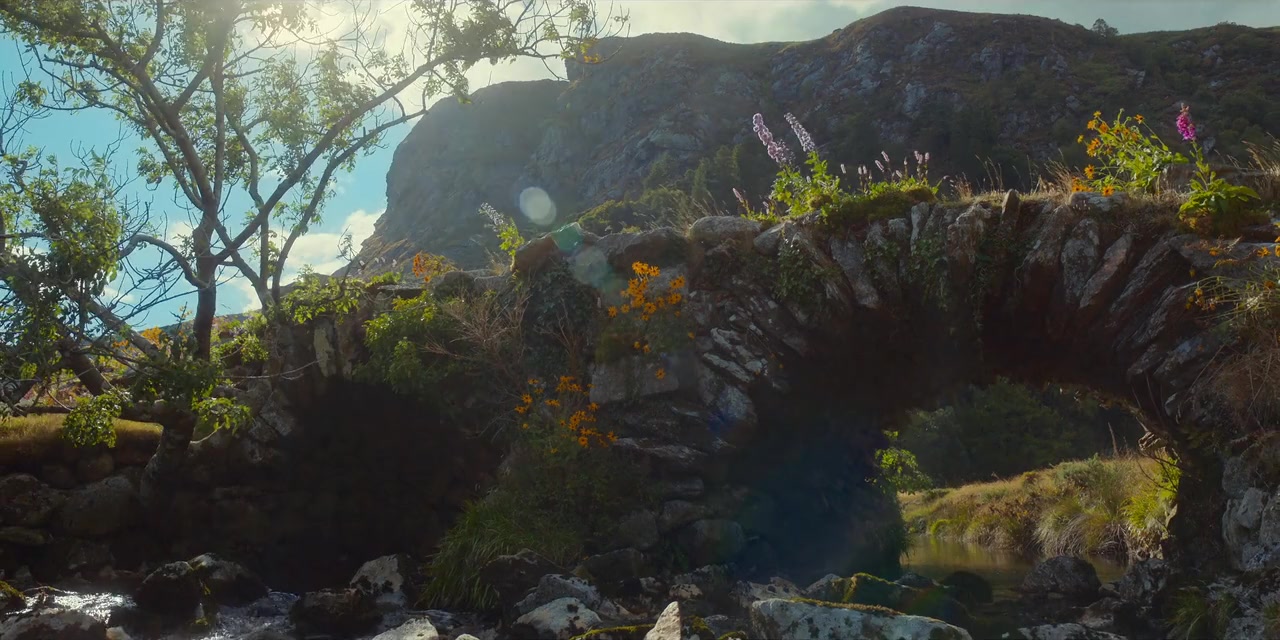 Irish Wish screenshot 1