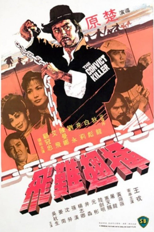 Cha chi nan fei (1980) poster