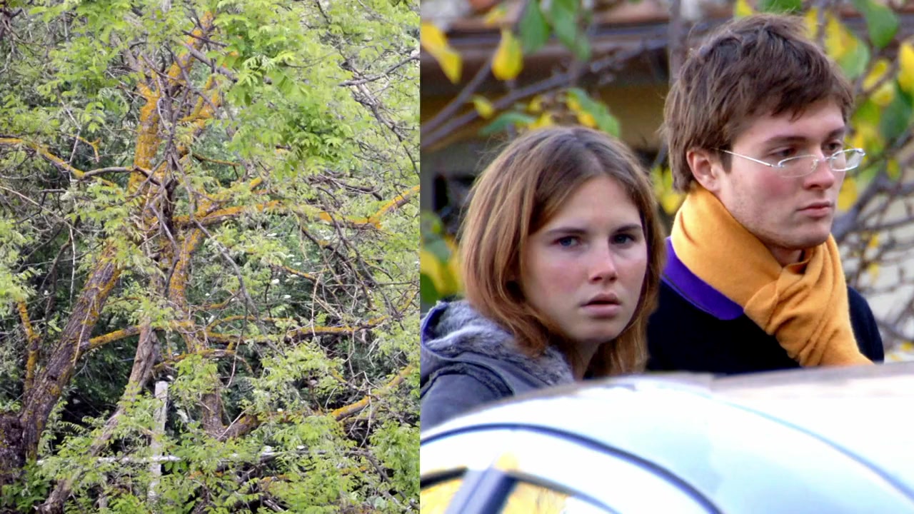 Is Amanda Knox Guilty? screenshot 2