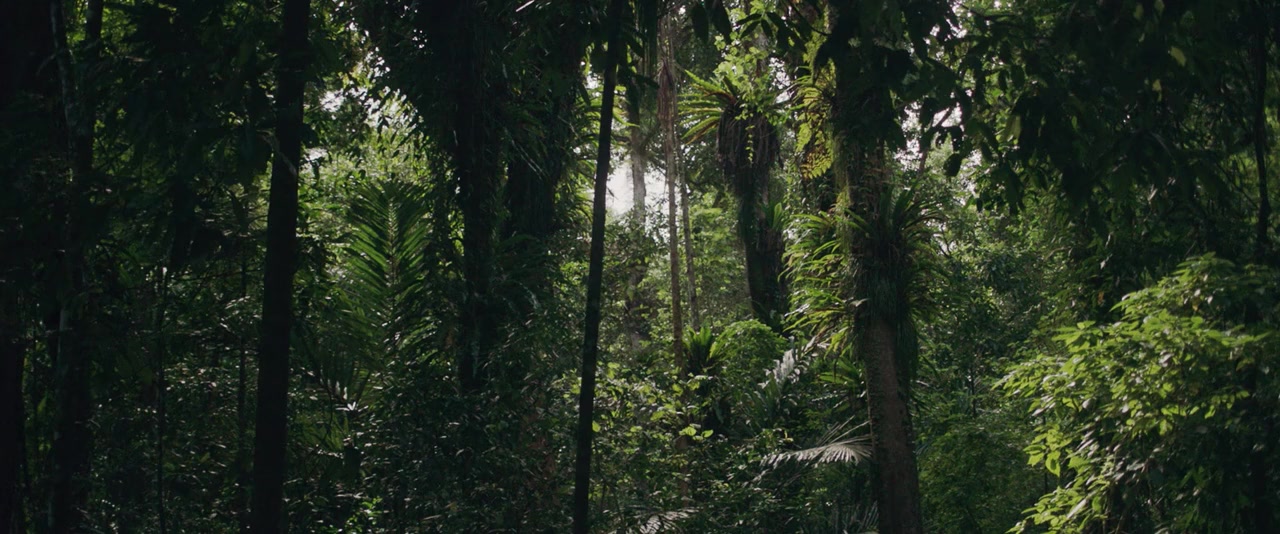Island of the Hungry Ghosts screenshot 1