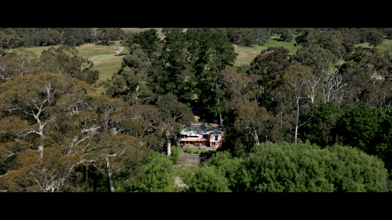 Isla's Way screenshot 1